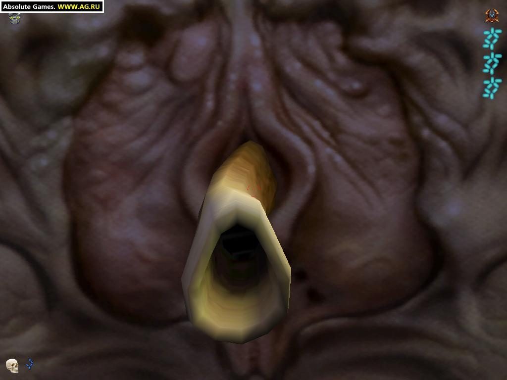 Aliens Versus Predator 2 bild 3